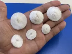 ミツル様 リクエスト 2点 まとめ商品