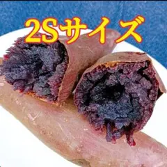 ☆希少☆ 茨城県産　紫芋　ふくむらさき 2Sサイズ