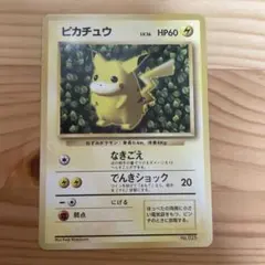 m97488239337_1.jpg?1772372664