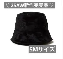 Item thumbnail for item c5319593-aac2-4f67-9bb0-20bd961bc268