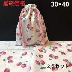 最終価格 いちご柄 ランチョンマット 30×40 2枚 給食袋セットハンドメイド