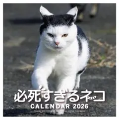 Item thumbnail for item 28e05e47-cba2-4691-9c50-8a99ae0c7e38