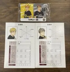 ハイキュー アニメイト特典 体力測定フェア 記録用紙風ポストカード 宮侑 宮治