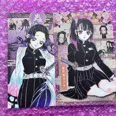 胡蝶しのぶ 栗花落カナヲ ポストカード