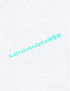 kaijuunokodomo様 リクエスト 9点 まとめ商品