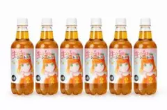 シードル（500mL） 6本セットのサムネイル