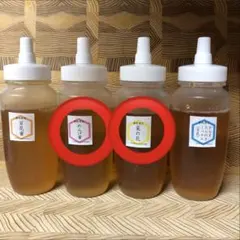 【非加熱・生はちみつ】れんげ250g&菜の花250g(2本セット)