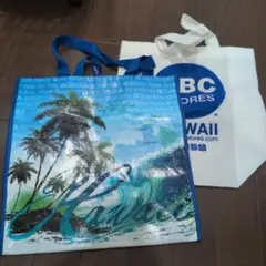 Item thumbnail for item 59ca3709-e683-457a-b185-1274c2a9b700