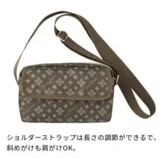 素敵なあの人 11月号 付録　クリスチャン オリビエ パリ　軽量ショルダーバッグ