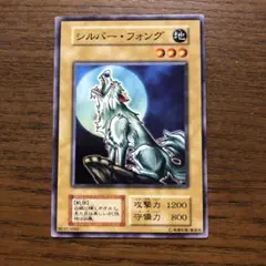 2025年最新】シルバー・フォングの人気アイテム - メルカリ