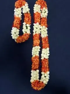 Item thumbnail for item 021b543b-6915-4b6a-8b49-684741f7638b