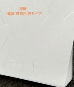 Item thumbnail for item 25574415-4a59-45ef-9633-873d19ac2b5b