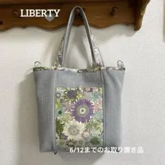 Item thumbnail for item 2e0dfa55-f8b8-48d0-b13f-656542704cf6