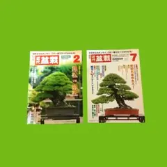 wooody様 リクエスト 2点 まとめ商品