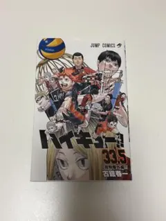ハイキュー 33.5巻 音駒番外編