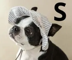 Item thumbnail for item d401037b-bfcf-4193-8b5e-cf92ac4d0c64