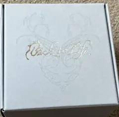 &TEAM リング Mサイズ Back to Life トレカあり