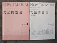 NEW TREASURE 文法問題集 解答編 セット