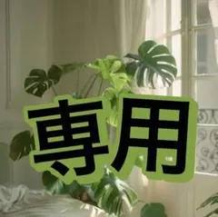 【サリー様専用 】スクラビングバブル 本体＋替4個＆トイレスタンプ計4本