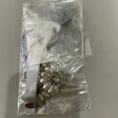 Item thumbnail for item b3837b62-03a6-4c9e-83d3-3bd0f1e820f6