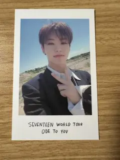 SEVENTEEN Ode to you ホシ　ポラ