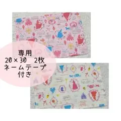 【専用】ランチョンマット 20×30 2枚セット プリンセス 女の子用　お姫様