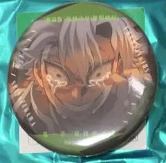 ☆ 鬼滅の刃　無限城編　ものがたる眼差し　コレクション缶バッジ　不死川実弥