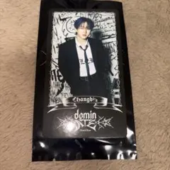 dominATE スペシャルトレーディングカード チャンビン