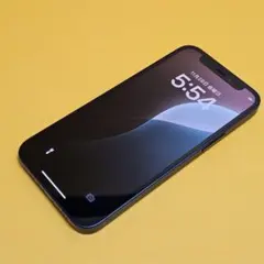 iPhone 12 mini 256GB｜24時間以内発送!#103