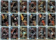 甲虫王者ムシキング 2005ファースト・夏限定・ファースト+ 銅レアコンプリート