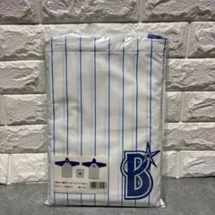 Item thumbnail for item c7587419-1d32-4496-9c17-a821c1ec478f