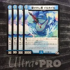 デュエルマスターズ 愛されし者 イルカイル ４枚セット26-1