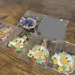 期間限定 ディズニーランド ピンバッチ チャーム 5個セット
