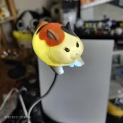 2026年最新】ファットキャットの人気アイテム - メルカリ