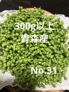 32天然 山椒の実 300g以上採りたて 青森産 - メルカリ