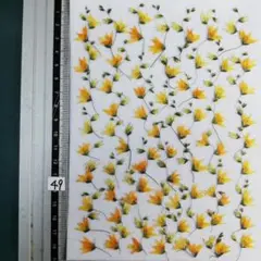 メラスフェルラ　 NO49 2025年つぼみ付き 押し花 押し花素材