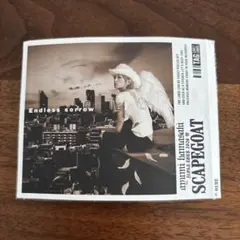 浜崎あゆみ　オリジナルステッカー　scapegoat