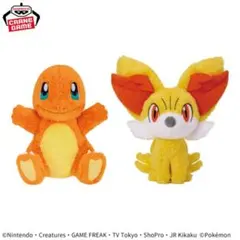 新品未使用　【Pokemon】　ポケモン　ヒトカゲ　ぬいぐるみ　特大　BIG