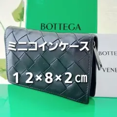 【極美品】ボッテガベネタ マキシイントレチャート コインケース 黒色