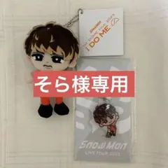 そら様専用 Snow Man 向井康二 すのチル ぬいぐるみ キーホルダー