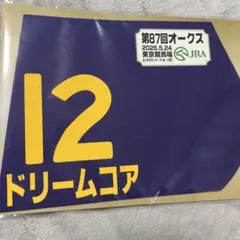 ね*ん様 競馬 JRA ミニゼッケン イクイノックス - メルカリ