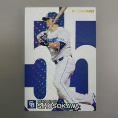 2024 Calbee プロ野球チップス 細川成也 中日ドラゴンズ