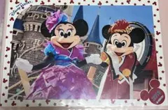 スペフォ スペシャルフォト 爽涼鼓舞 ミッキー ミニー