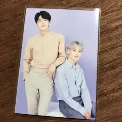 ペア　ウォヌ　ホシ　seventeen ドームツアー　トレカ