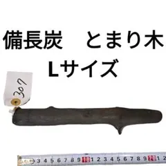 2025年最新】備長炭パーチの人気アイテム - メルカリ