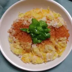 食品サンプル　カツ丼