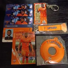 Item thumbnail for item 62a02955-afe6-4b95-b5df-90639b80240d