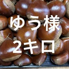 2025年最新】生栗の人気アイテム - メルカリ