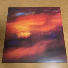THE TRASH CAN SINATRAS 12インチレコード - メルカリ