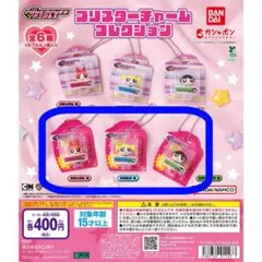 【Aセット】パワーパフガールズ　ブリスターチャーム コレクション